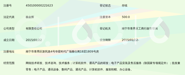 广西淳鹏网络科技 扎根八桂大地的数字化创新力量